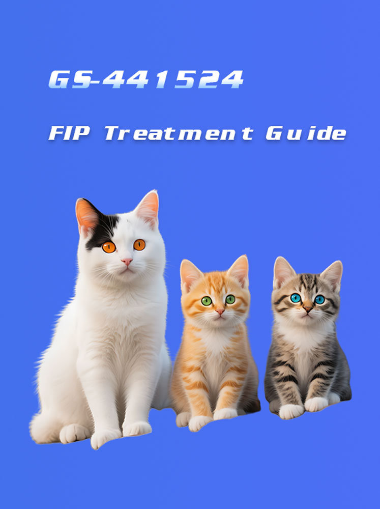 GS-441524 Treatment Guide for Cats with FIP