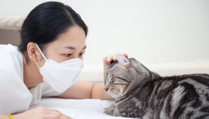 How Successful Is GS-441524 Treatment