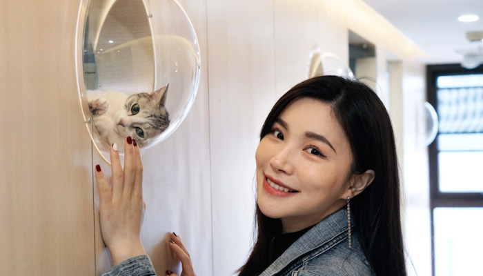 Injectable GS-441524 For Wet FIP