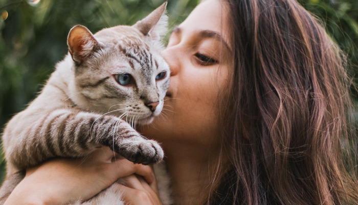 Wet FIP Recovery Signs