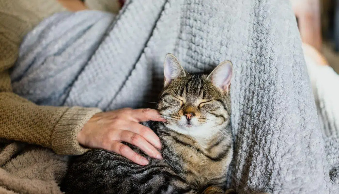 Wet FIP Recovery Stories