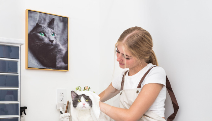 Wet FIP Explained