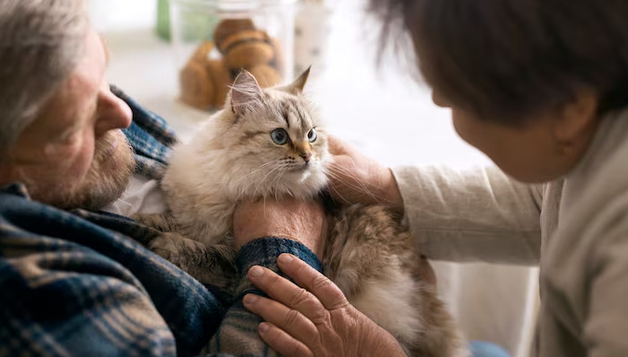 Neurological FIP Medication Guide