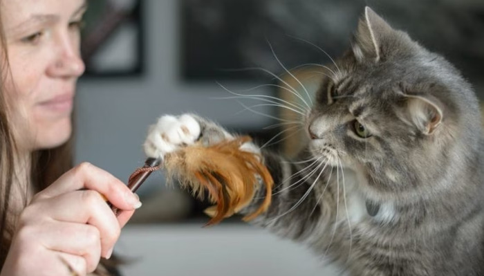 Can Wet FIP Be Prevented
