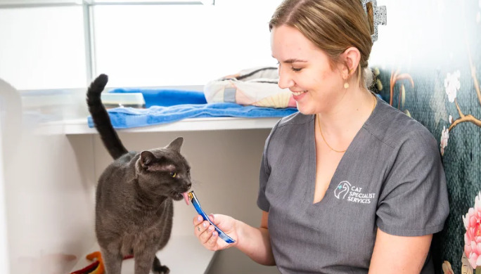 GS-441524 Wet FIP Dosage