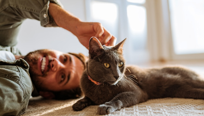 Can Wet FIP Cause Rapid Weight Loss