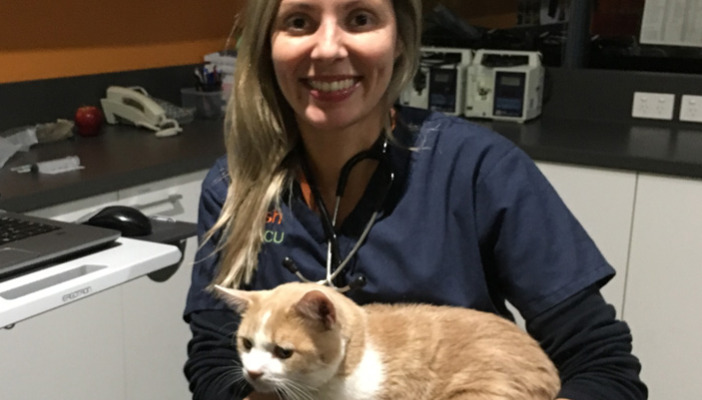 Is Dry FIP Difficult to Diagnose