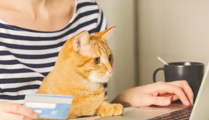 Dry FIP Before and After Treatment