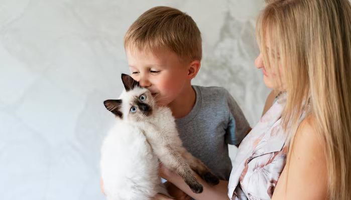 Wet FIP Diagnosis Guide