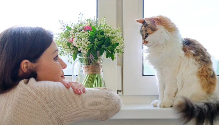 How Fast Does Dry FIP Improve