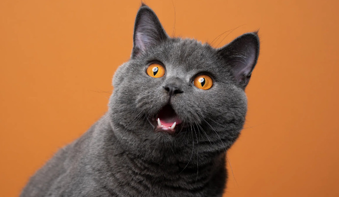 Best Tests For Dry FIP
