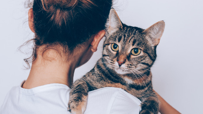 Ultrasound For Dry FIP