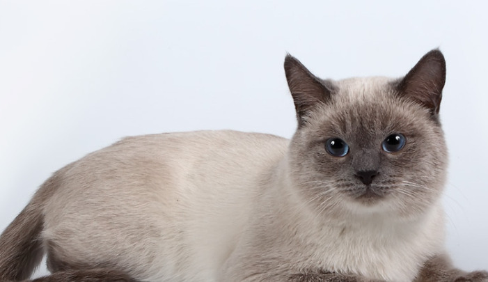 Beginner's Guide To Dry FIP