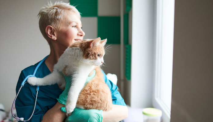 GS-441524 Treatment for Feline Infectious Peritonitis