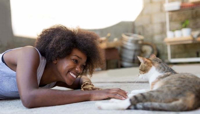 What Causes Dry FIP In Cats