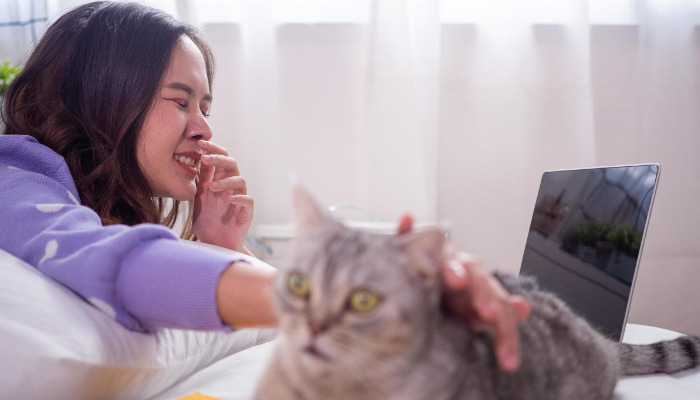 Living With a Cat Recovering From Neurological FIP