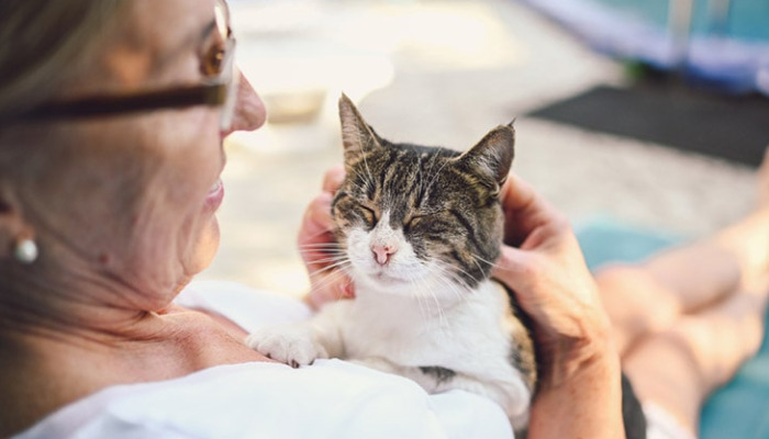 Antiviral Treatment for Dry FIP
