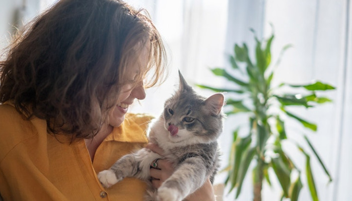 How Fast Does Wet FIP Improve