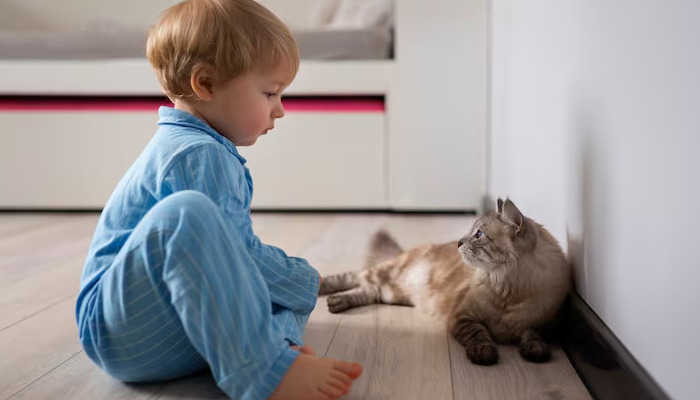 How Effective Is GS-441524 for FIP