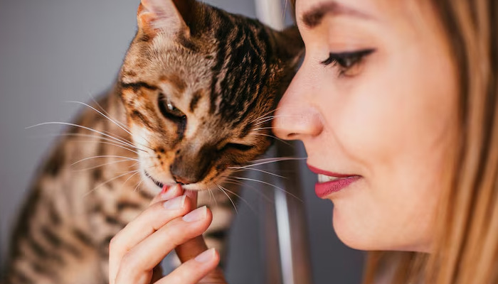 Early Symptoms of Wet FIP