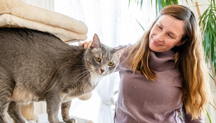Neurological FIP Blood Test Results Explained