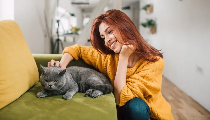 Can Dry FIP Affect The Brain