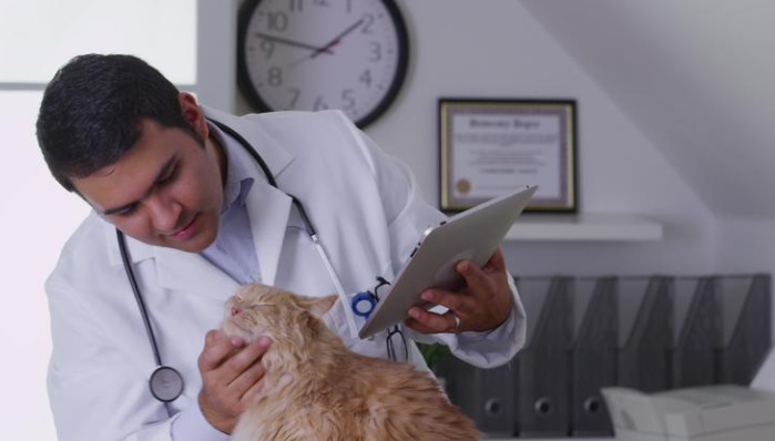 Why Does Neurological FIP Affect The Brain
