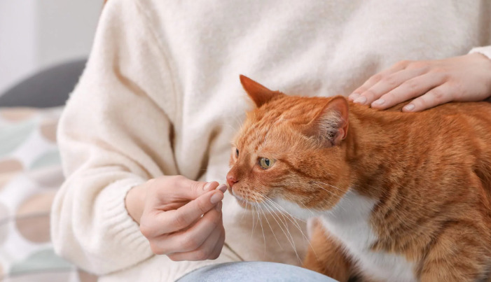 Antiviral Treatment for Wet FIP