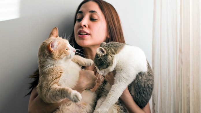 Can Indoor Cats Get Wet FIP