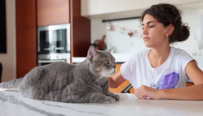 Best Tests For Neurological FIP
