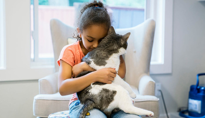 GS-441524 For Mixed FIP