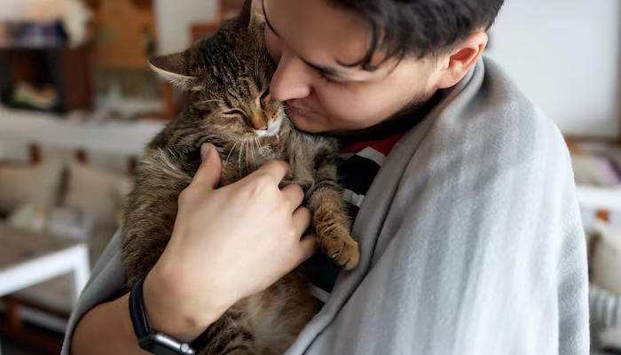 GS-441524 Toxicity In Cats