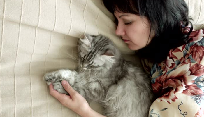 Wet FIP Lethargy In Cats