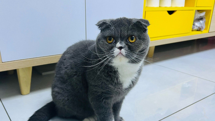Follow-Up Care After Wet FIP