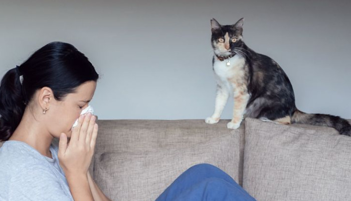 Early Signs of Dry FIP