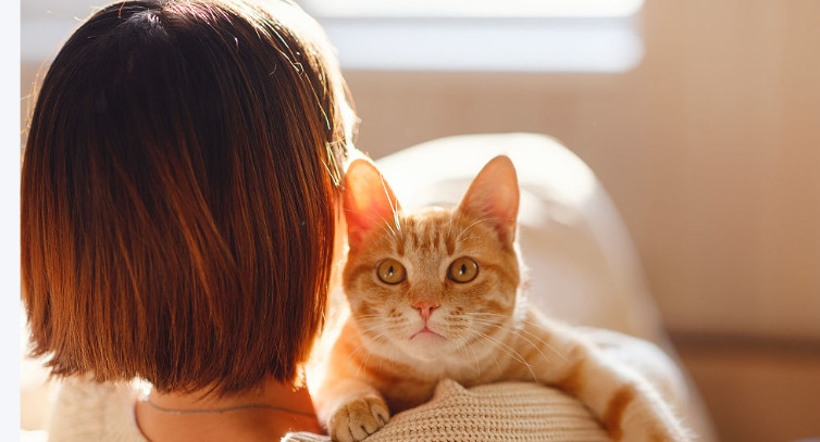 Dry FIP Recovery Stories