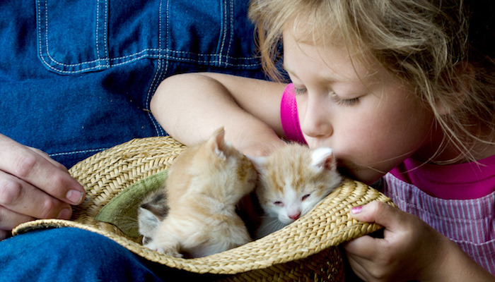 Best Treatment for Neurological FIP