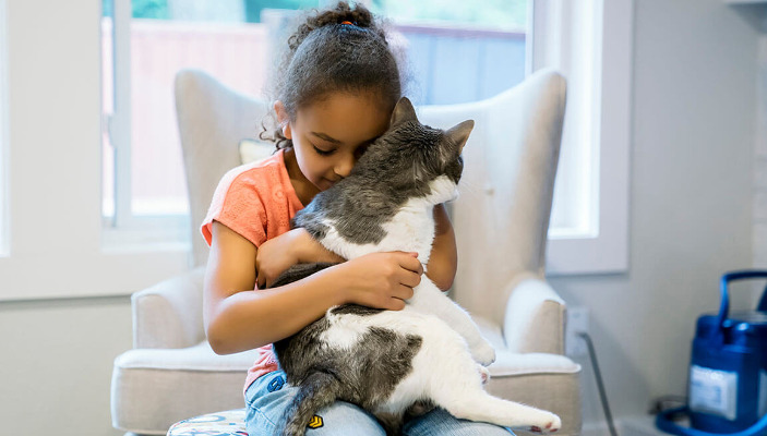 GS-441524 Success Rate in Cats