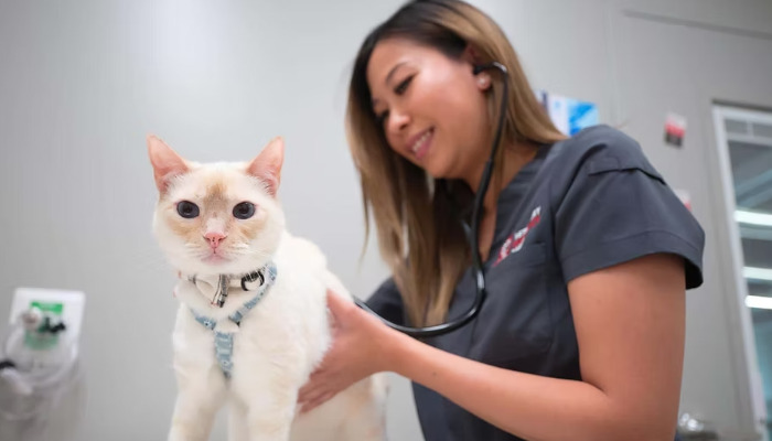 Neurological FIP Treatment