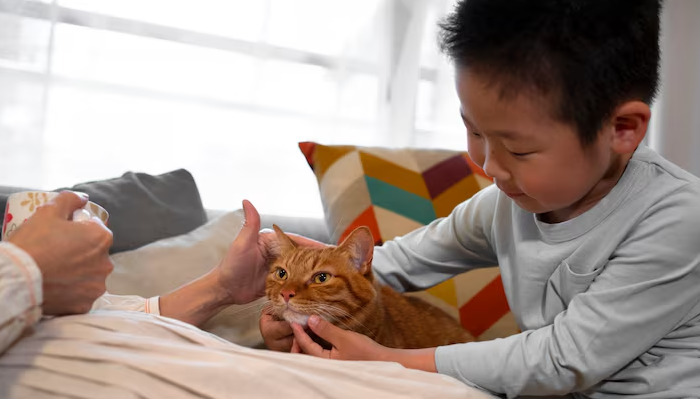 Dry FIP Fever Symptoms