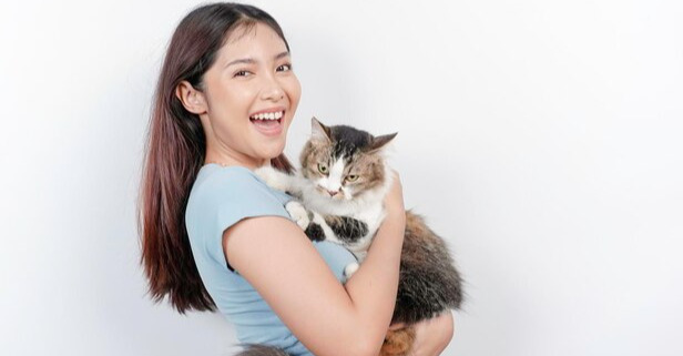 Complete Guide to GS-441524 for Cats