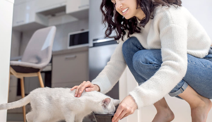 What Causes Neurological FIP