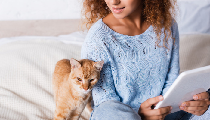 Blood Tests For Dry FIP