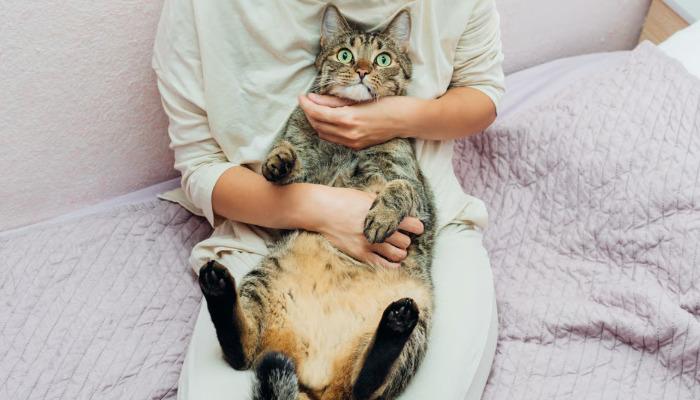 Can Dry FIP Affect the Eyes