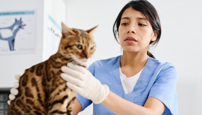PCR Testing for Dry FIP