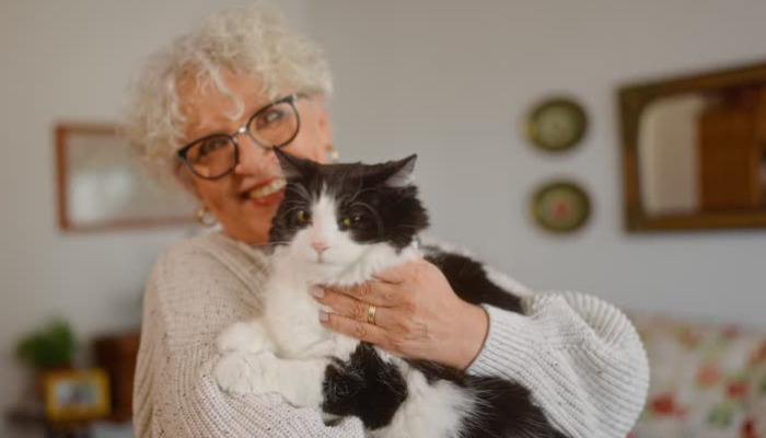 Ultrasound for Wet FIP