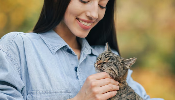 Best GS-441524 Dose For Kittens