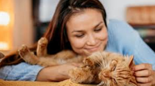 Dry FIP Clinical Signs